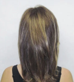 Diana LF Wig By Godiva's Secret Wigs -Personalized Fake Store Diana back 95325.1442348212.500.659