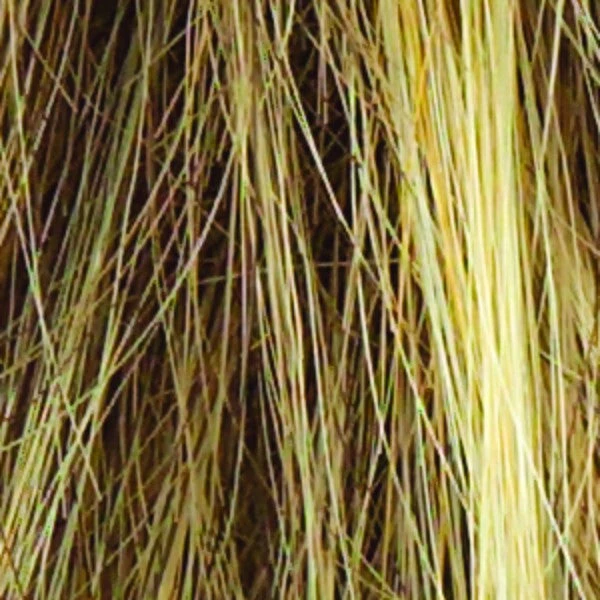 Salsa Wig By Raquel Welch | Large Cap 15 Salsa Wig By Raquel Welch | Large Cap - Image 15