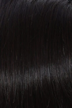 Applause Wig By Raquel Welch 29 Applause Wig By Raquel Welch -Personalized Fake Store R3HH