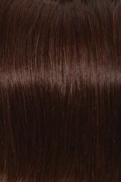 Soft Focus Wig By Raquel Welch -Personalized Fake Store R4HH Chestnut Brown cc6219c8 91ae 4ecf b415 f2f208d7a4bc