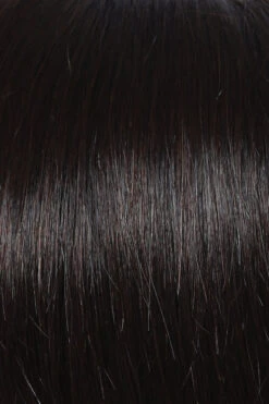 Knockout Wig By Raquel Welch -Personalized Fake Store R4 Midnight Brown