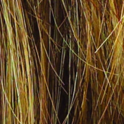 Voltage Elite Wig By Raquel Welch -Personalized Fake Store R9F26 MOCHA FOIL 0685694c b0d1 4b7d bcfd fa3d6fe49c6d