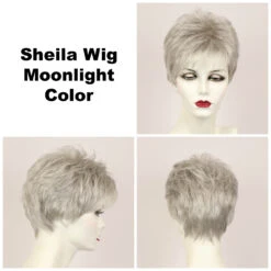 Sheila Petite Wig By Godiva's Secret Wigs 17 Sheila Petite Wig By Godiva's Secret Wigs -Personalized Fake Store Sheila Moonlight 40395.1461181945.1280.1280