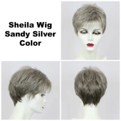 Sheila Petite Wig By Godiva's Secret Wigs 18 Sheila Petite Wig By Godiva's Secret Wigs -Personalized Fake Store Sheila Sandy Silver 69307.1458852679.1280.1280