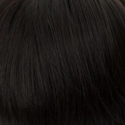 Petite Paula Wig By Tony Of Beverly -Personalized Fake Store TOB 2 1464d9f6 b519 43c8 b373 095f3b9a969d