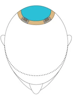 Top This 8" By Jon Renau | Remy Human Hair | Renau Exclusive -Personalized Fake Store TopThis placement 65e9f77c 8719 46d0 9bf0 62c94448aa04