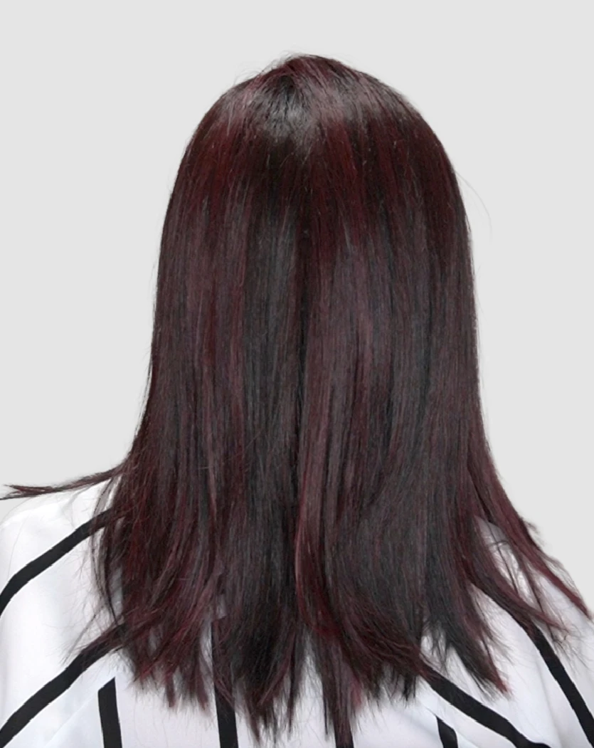 Picture Perfect Wig By TressAllure | Mono Top 10 Picture Perfect Wig By TressAllure | Mono Top - Image 10