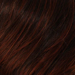 Phoebe Wig By Tony Of Beverly 29 Phoebe Wig By Tony Of Beverly -Personalized Fake Store tob 2832 1863f988 c844 4e81 8447 29115c935782